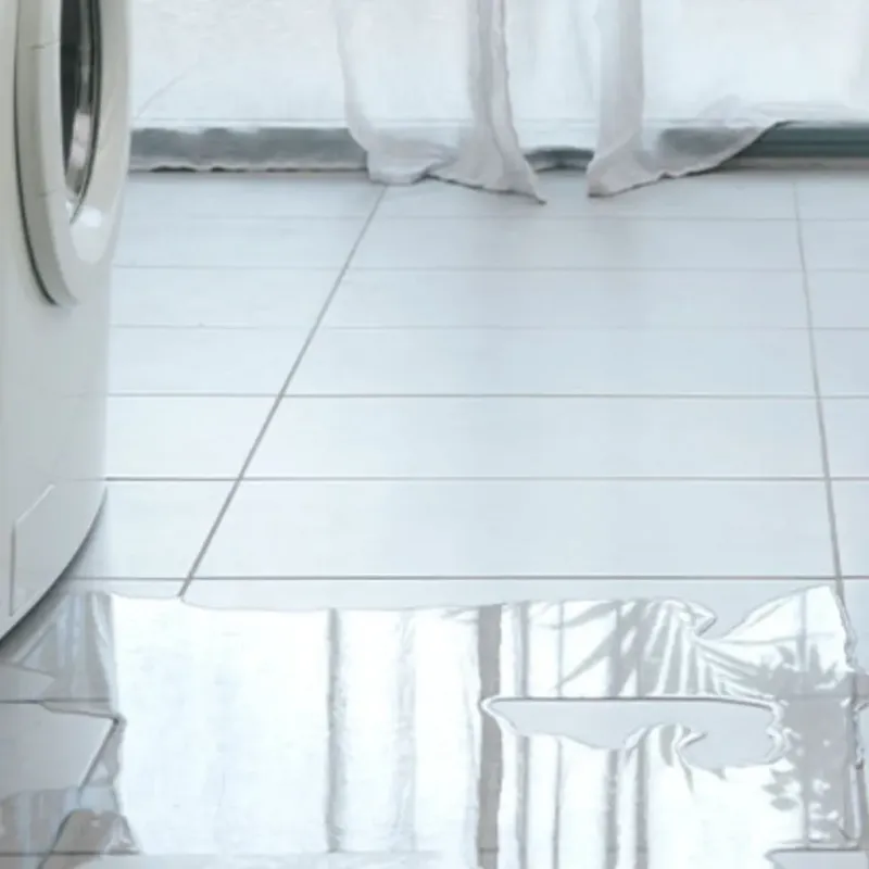 Appliance Leak Cleanup in San Diego, TX