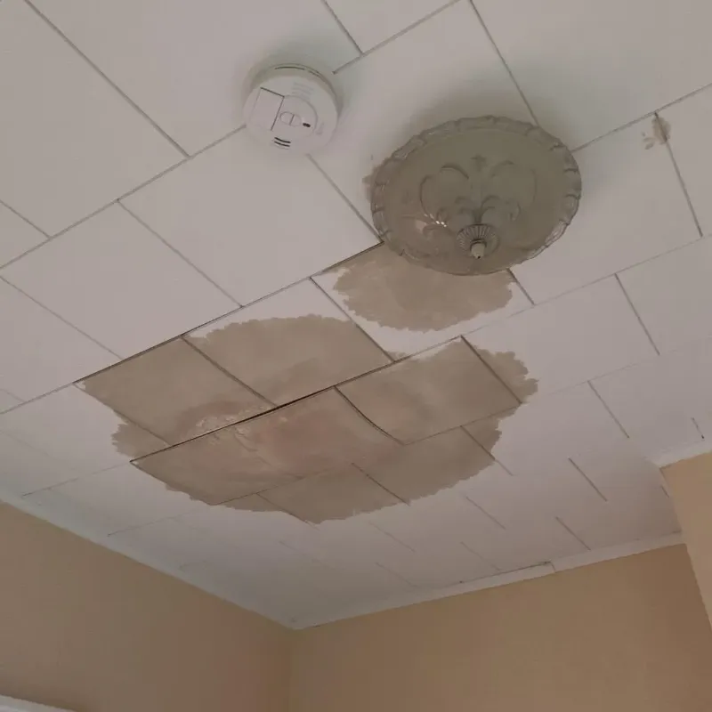 Ceiling Water Damage Repair in San Diego, TX